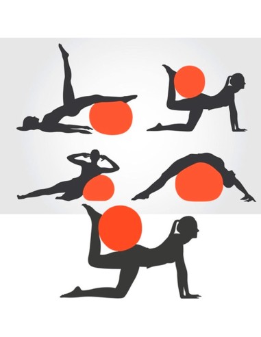 Bola de gimnasia ATRIO 55cm (ES118)